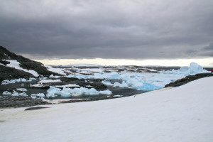 Charcot Bay