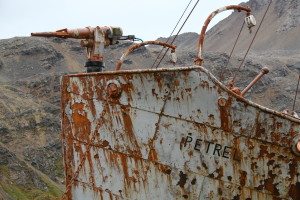 The Petrel - Whale hunting shipship